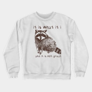 It Is What It Is And It Is Not Great Racoon Crewneck Sweatshirt